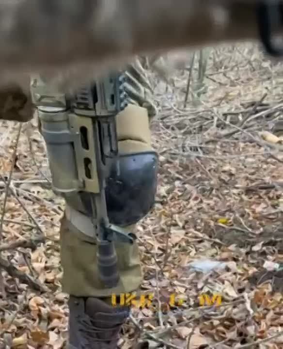 ��� ����� ���������� ����������