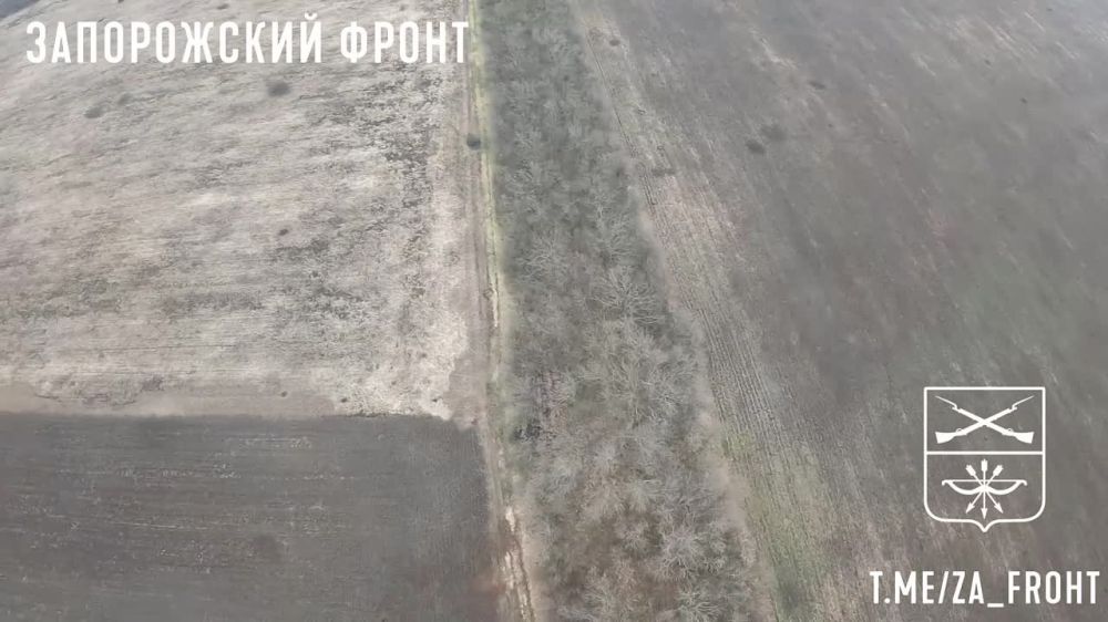 ������, ��������� � FPV ������, �� ������������� ��� ������� ���� ��� ����