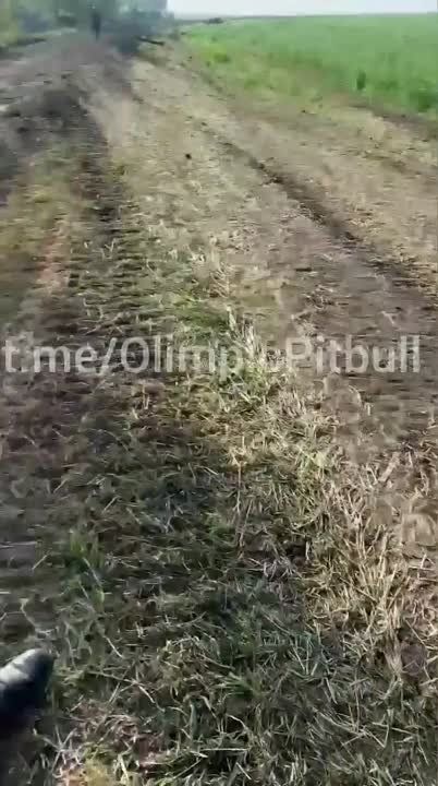 � ��� ���������?