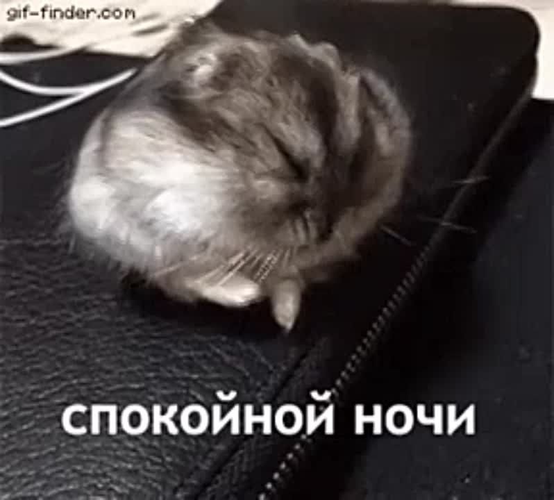 ��������� ������ ������ �������� � �����