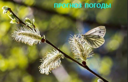 �� ��������� ����������, ������ ������� ����� ������������