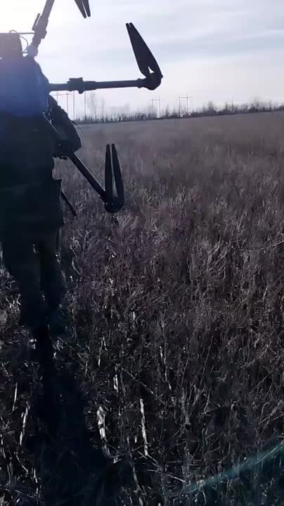 ���� ����� ����� �������� ������ ������� ��������� 82�� ����
