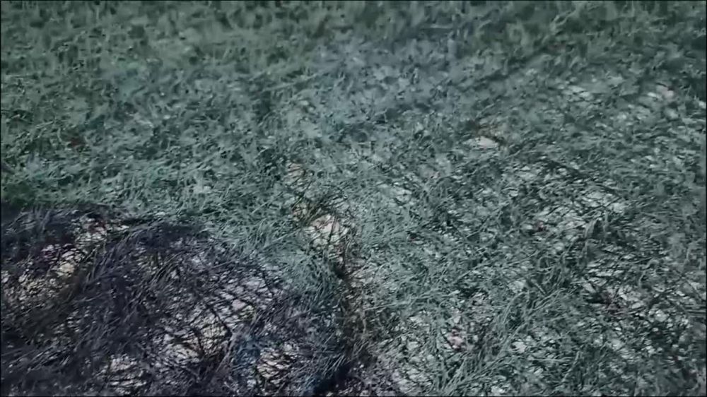 ���������� 80-�� ������!