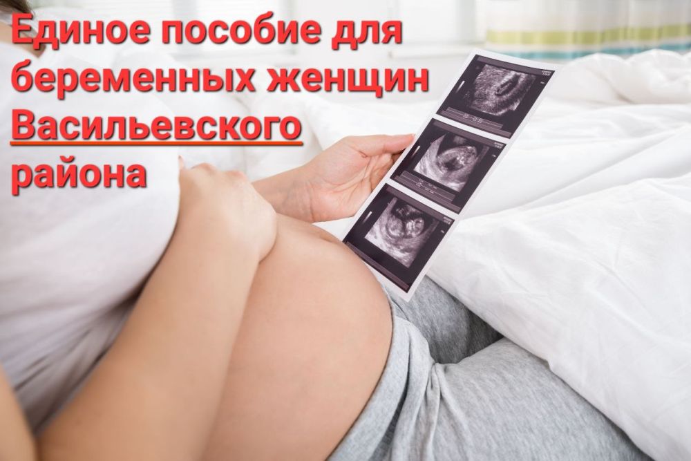 ���������� ������� ������������� ������ ����������� ������� ����� �������� ������ �������