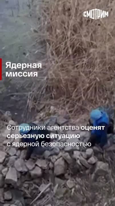 ������ ������� ����� ���: