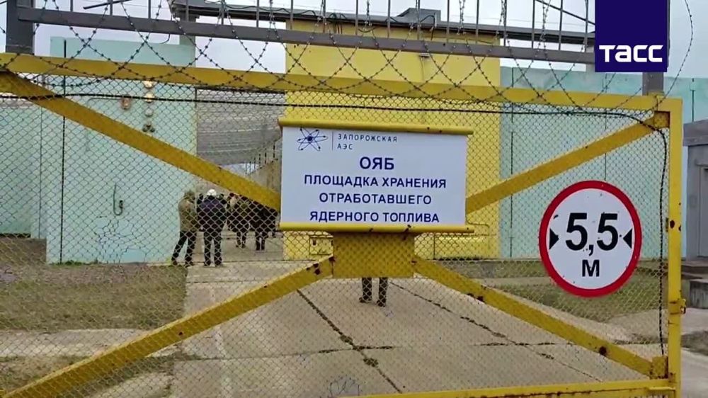 ����������� ������ ������� ������ �������� ���������� ���� � ������� ����������� ������������ ���������� �� ���� ����������������