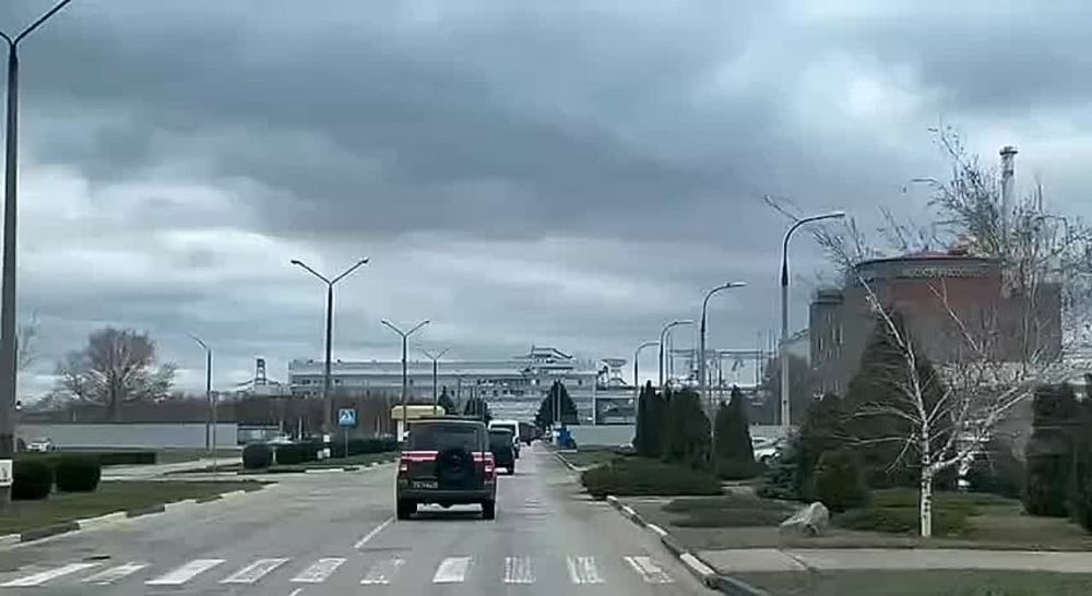 �������� �����: ����� ������ ������� ������ ������ �� ����������� ���