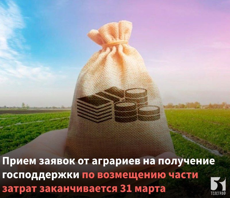 ����� ������ �� �������� �� ��������� ������������ �� ���������� ����� ������ ������������� 31 �����