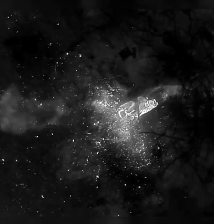 �������� �����: ������ ����� ������ �� ����������� �����������