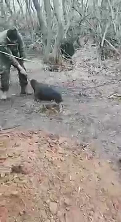������ ��������� ����� ����� ��� ������ ��������� � ������� � ����������� �������