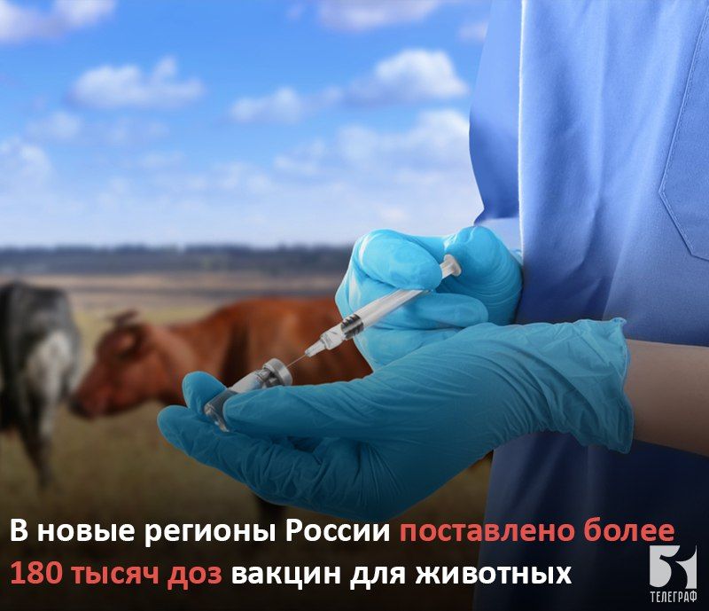 � ����� ������� ������ ���������� ����� 180 ����� ��� ������ ��� ��������