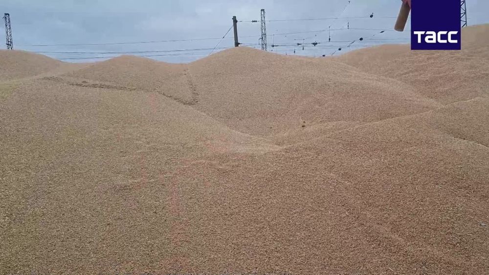 � ������������ ������ �������� ������ ������������� ����� ��� ���λ