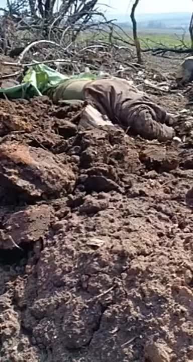 ��� �������� ����� ����� ����������: ���� ���������� �������� � ��������� �������