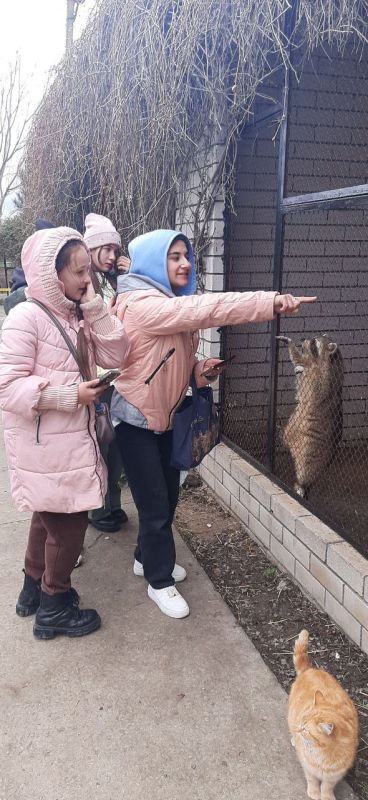 � ����� ������ ����� �������� ����