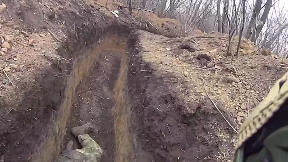 ������� ���������: � ����� �������� ��������, ���� ��� ����������� �����������