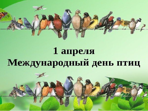 ������� 1 ������ 2023 ����, ������� � ���������� 18 ���������: