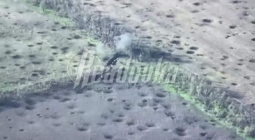 ���� ����������� � ������ ������������� ������������ ����������� �������� ������-����� ���������� 82 �� ������