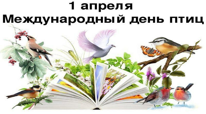 � ������������� ���� ����, ������� ���������� �������, 1 ������, � ���������� �������� ���������� ������ ������������� �������
