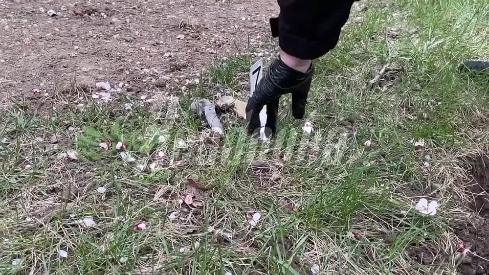 �� ����� �������� � ���������� �������� ������������ � ����� � ����� ����� ���������� �������, �������� ������ ������� �������
