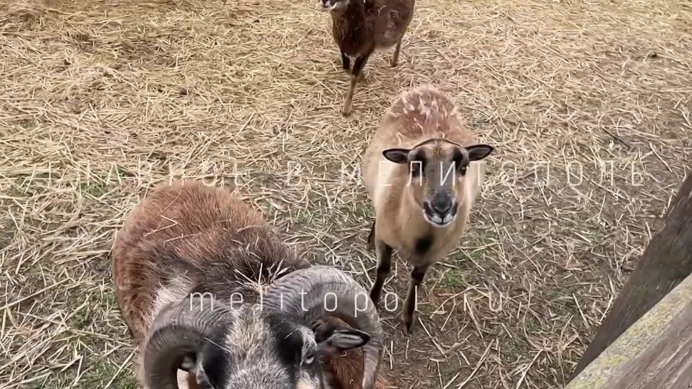 ������� �û � ������� � ���������� ����� � ����������, ������� ��������, �������� �� ������� ����������