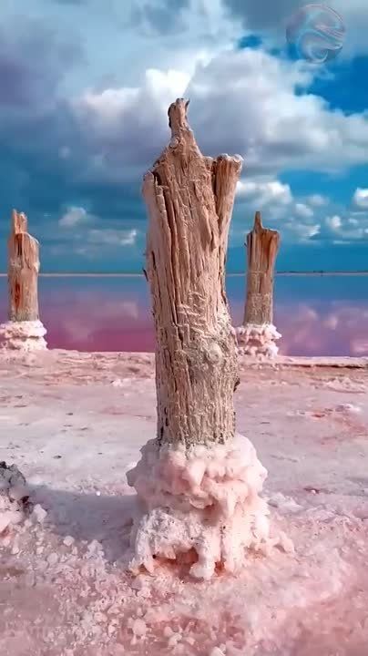 ������� ����� �����-�����. ���������� ����� � ������� ����� �� ����������� ����, ������������� ����� �������� ��������� � ����