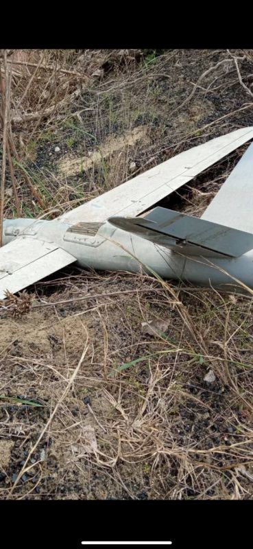 ����� ��������: � ������ ���� ���������� ������� ���������� ������������