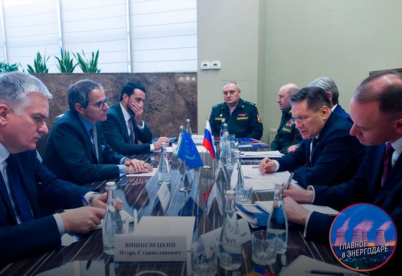 Росатом и МАГАТЭ обсудили ситуацию на ЗАЭС