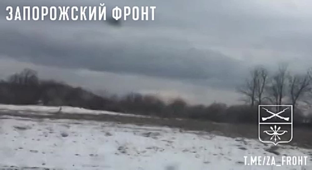 �������� ������ ���� ��-24� ��� ��