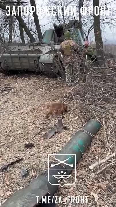 ������������ ��� 2�1 �������� � ��� 2�3 ������ ��� ���-�� �� ������