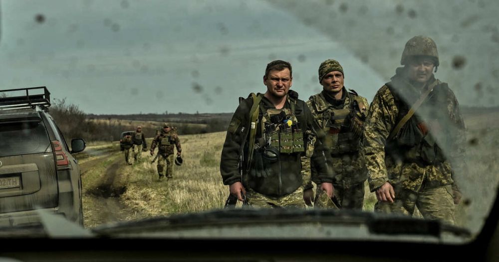 �����: ��� � �������� ������������� ���� ������������ ����������� ���