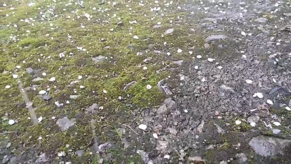 ������ ���������� ������ 2023 ���� ���� ��������� � ���������