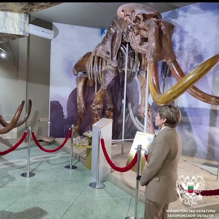 ����������� ������� ���������� ���� ������ � ���� ��������������� ������ �������� ����������� ��������