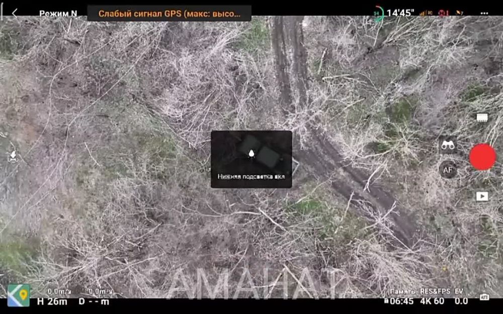 ����� ������ ������ ��� � ���������� 177 ���� ���������� ��������, ����������� �����������
