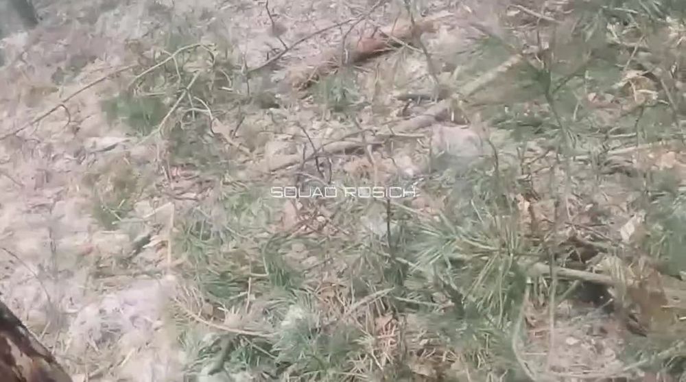 ���������� ������� � ���� ���������� ������������ � ����������� ������� � �� ����������� �������-���������