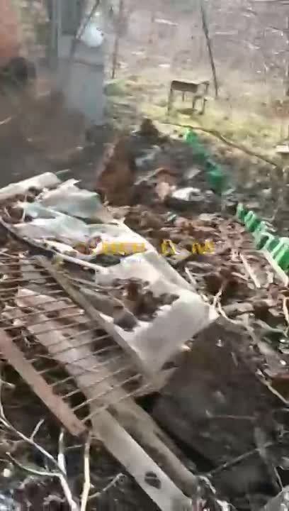��������� �������� ��������� ����� ���������� ������� �� ���������� �����������
