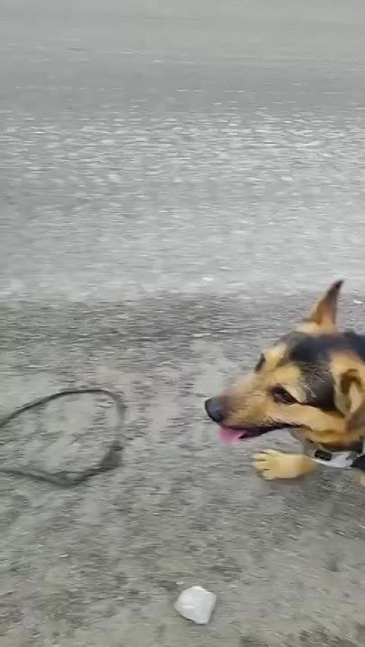 ��� ������ ������� � �������� ������� ���������� �� ���������� ��������� ������