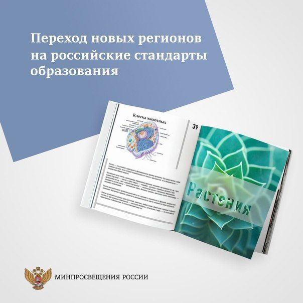 Как будет осуществлён переход новых регионов на российские стандарты образования? Как будут учить в школах? Все ли учебники есть? На эти вопросы ответил министр просвещения России Сергей Кравцов в интервью «Российской газете»