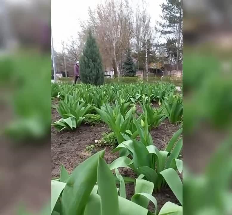� ���������� ����� �������� ����