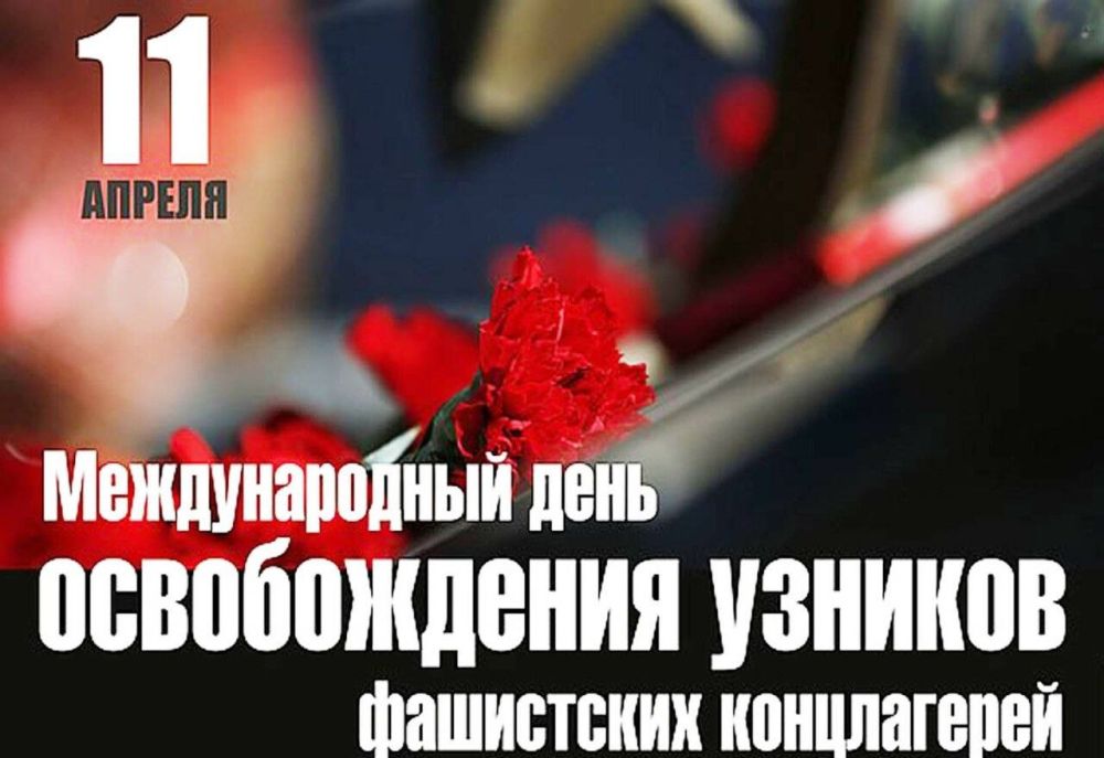 ������������� ���� ������������ ������� ���������� ����������� ���������� �������� 11 ������
