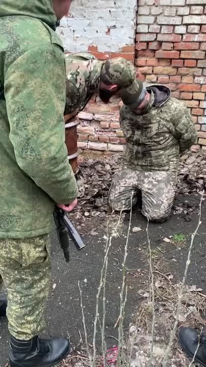 ������ ����� ������ ����� �� �����������