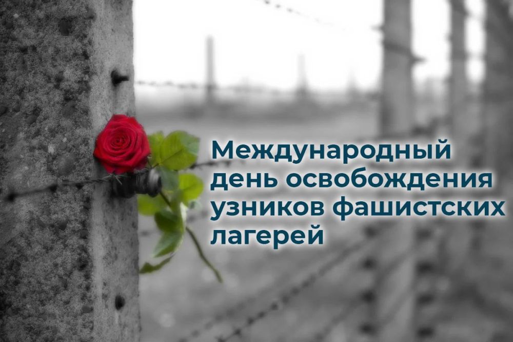 ������� 11 ������ 2023 ����, ������� � ���������� 12 ����������: