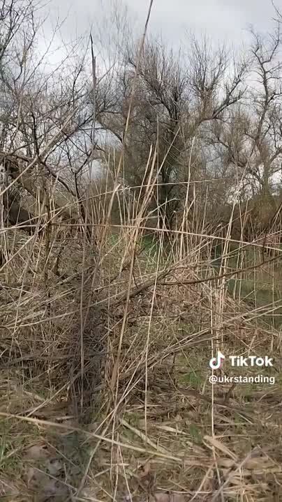 ������� �� �� �� ����� �� ����� �������, ������ ������ ��������� �� ������ ����������, ���������������� � ������� ������������, �� � ��������� �����