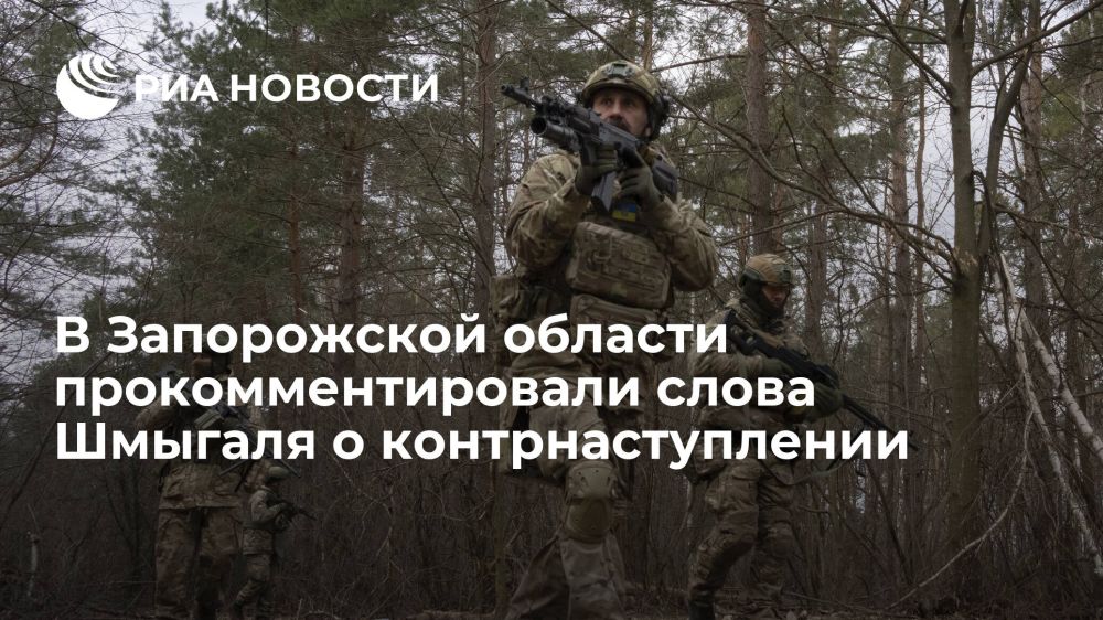 Владимир Рогов: Что стоит за заявлением Шмыгаля о контрнаступлении?