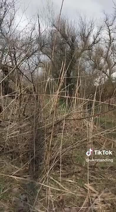 ���� ������: ��� ����� ����� �������� � ��� �������