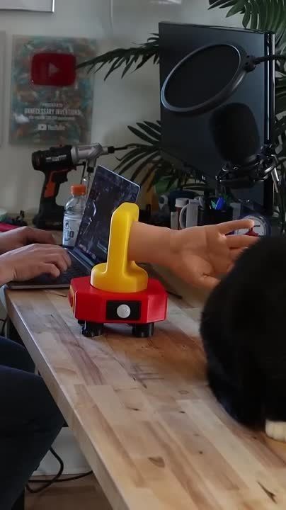 ����� ������ ���� ��� ���������