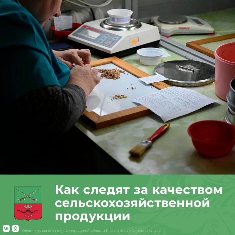 � ����������� ������� �������� ����������� �� ������ �������� �������