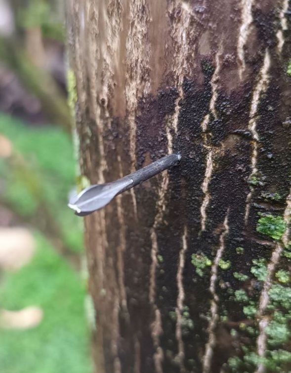 ������� �������: ���������� ������ � ���� ��������� ����� ������� � ����������� ������� ��������� �������������� �������, ���������� ���������� - ����������� ���������� � ���� �����-��������