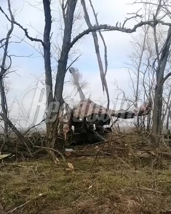 ����� ��������� ������� ��� ��� ������ ��������-�� �� ����������� �����������