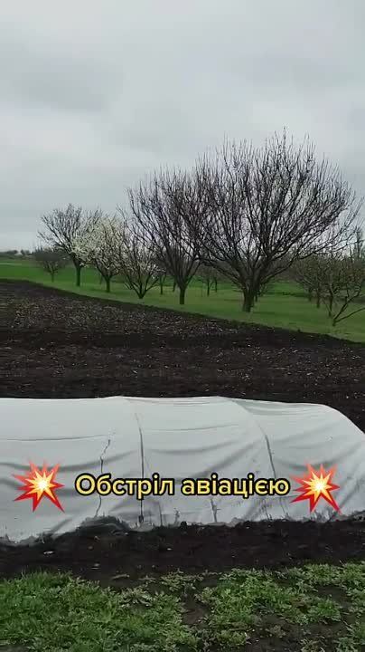 ������ �������: ����� ���������� ���� 500 �������� ��� �� �� �������� ��� � ����������� �������