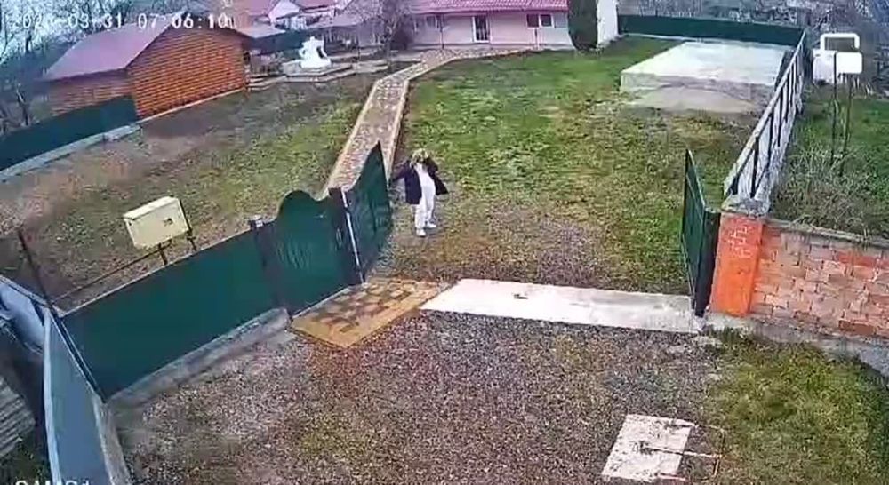 �������� �����: ��������� �������� ������� ����� �� ����������